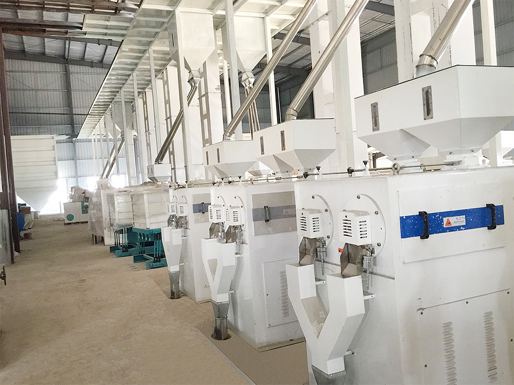 江西乐平黎光米业有限公司日产200吨精米生产线