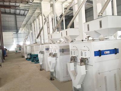 江西乐平黎光米业有限公司日产200吨精米生产线